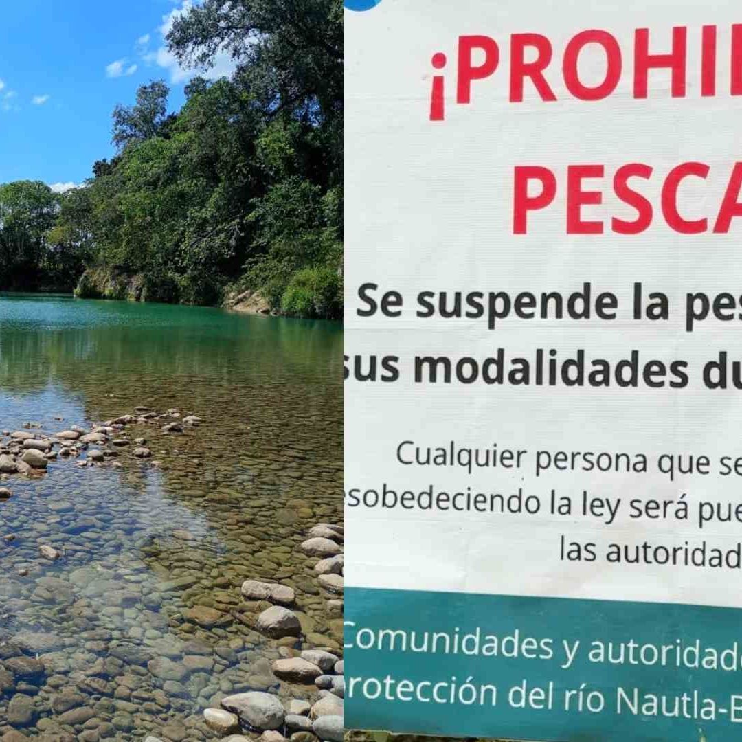 Prohiben Pesca en Río Filobobos Altotonga Veracruz e Implementan Veda de Dos Años para Repoblar Especies