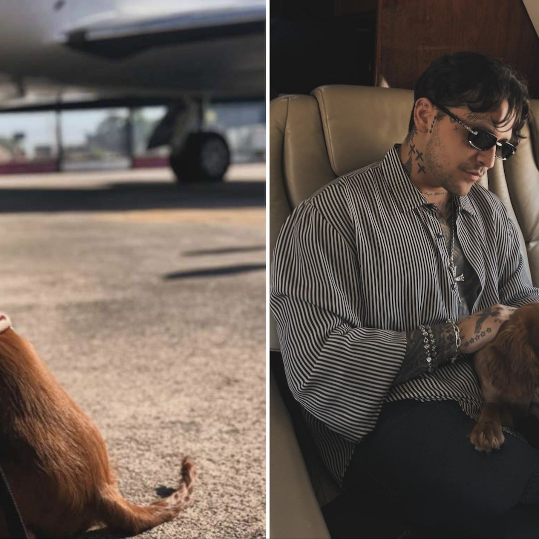 Nodal abre cuenta de Instagram a su perro