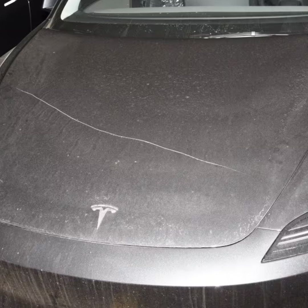 Vandalizan Decenas de Autos Tesla en Protesta contra Elon Musk en Canadá