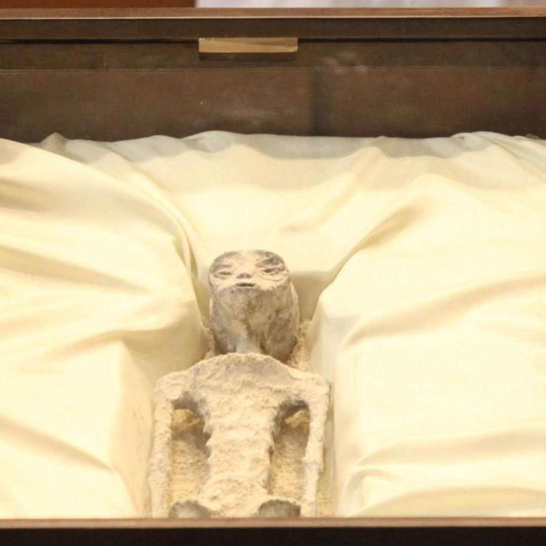 Supuestos restos extraterrestres expuestos en San Lázaro el 12 de septiembre de 2023.