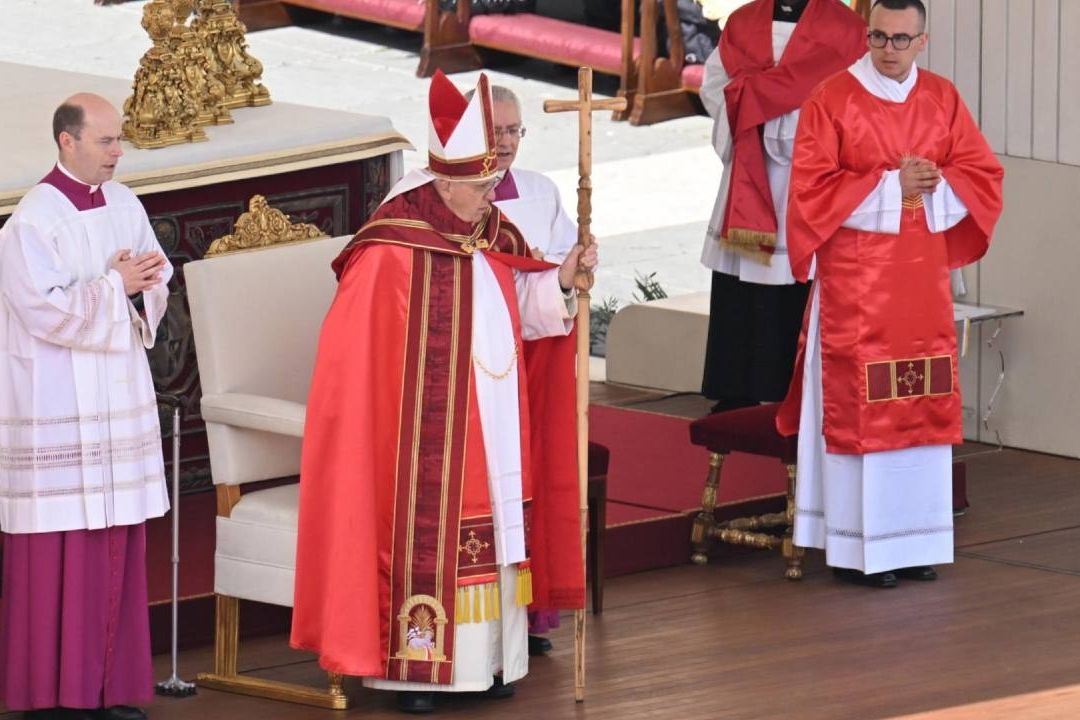 Papa Francisco en Domingo de Ramos: "Nadie Puede Ser Marginado"