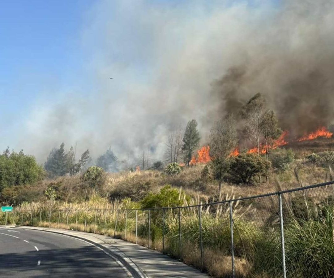 ¿Incendios en Atizapán y Coacalco Podrían Activar la Contingencia Ambiental en el Edomex? . Foto: N+
