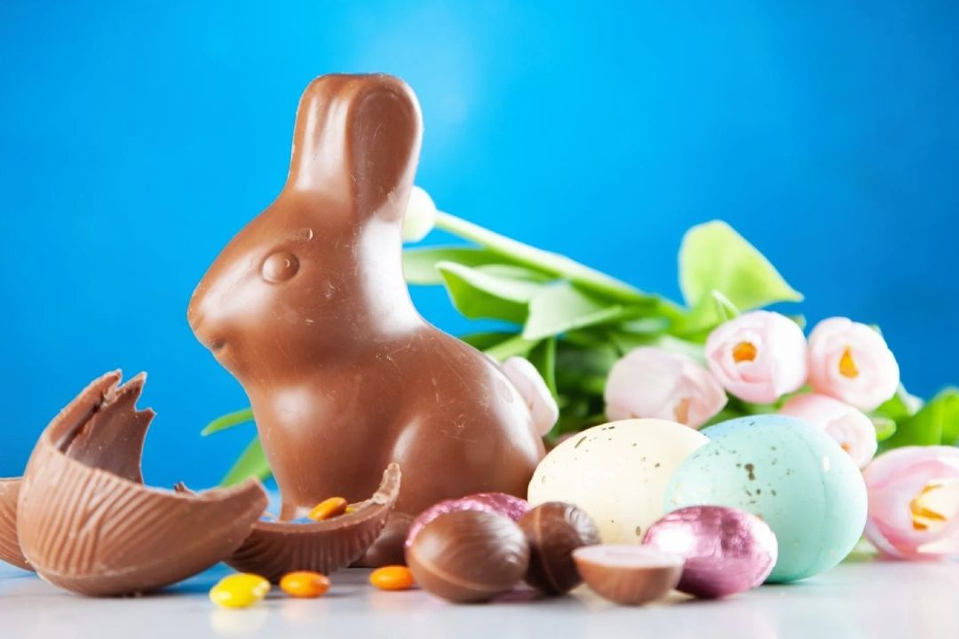 Aseguran en Bélgica Conejos de Pascua Repletos de Éxtasis