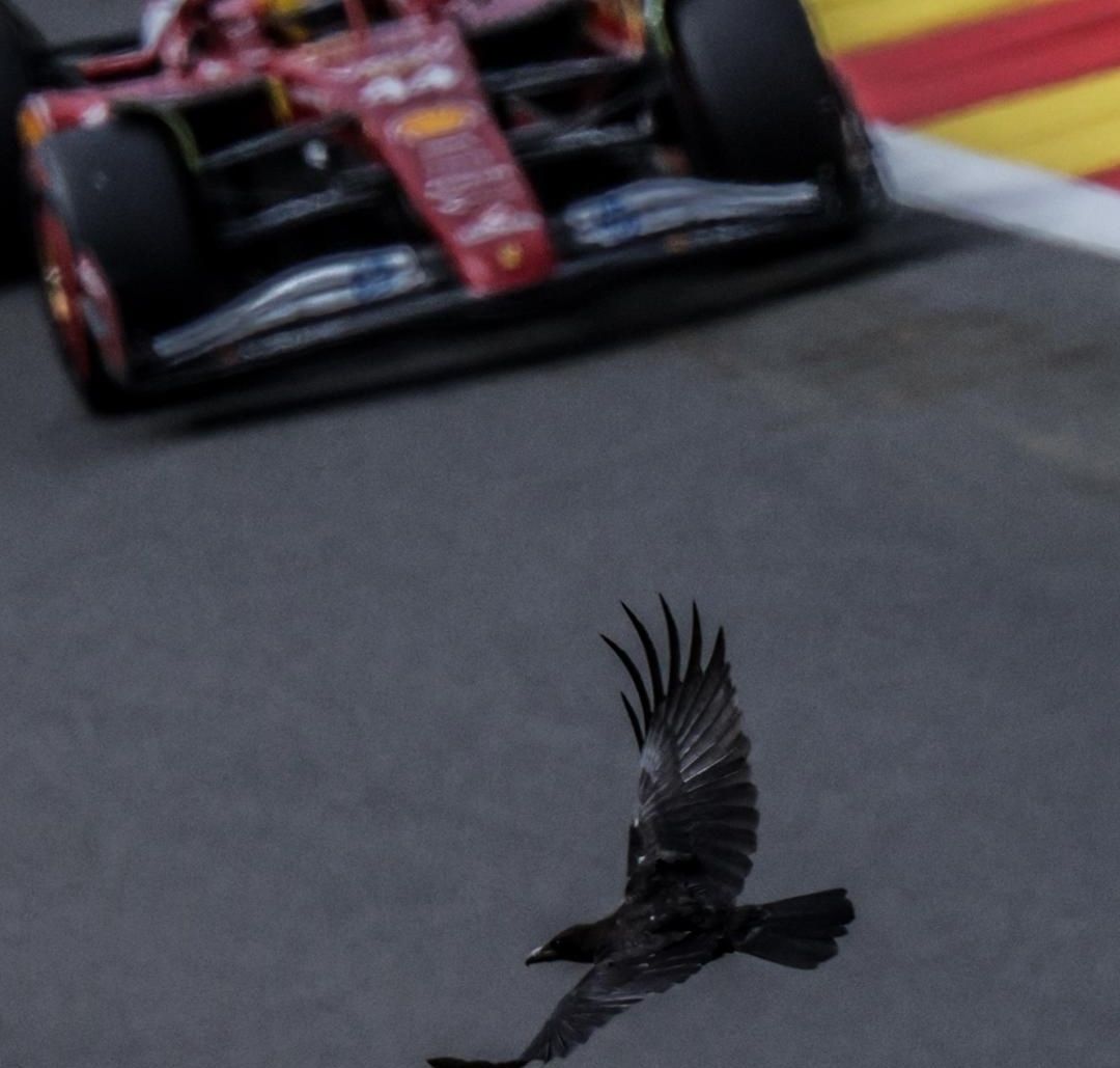Gran Premio de Bélgica 2025: ¿Cómo Queda la Parrilla de Salida para este Domingo?