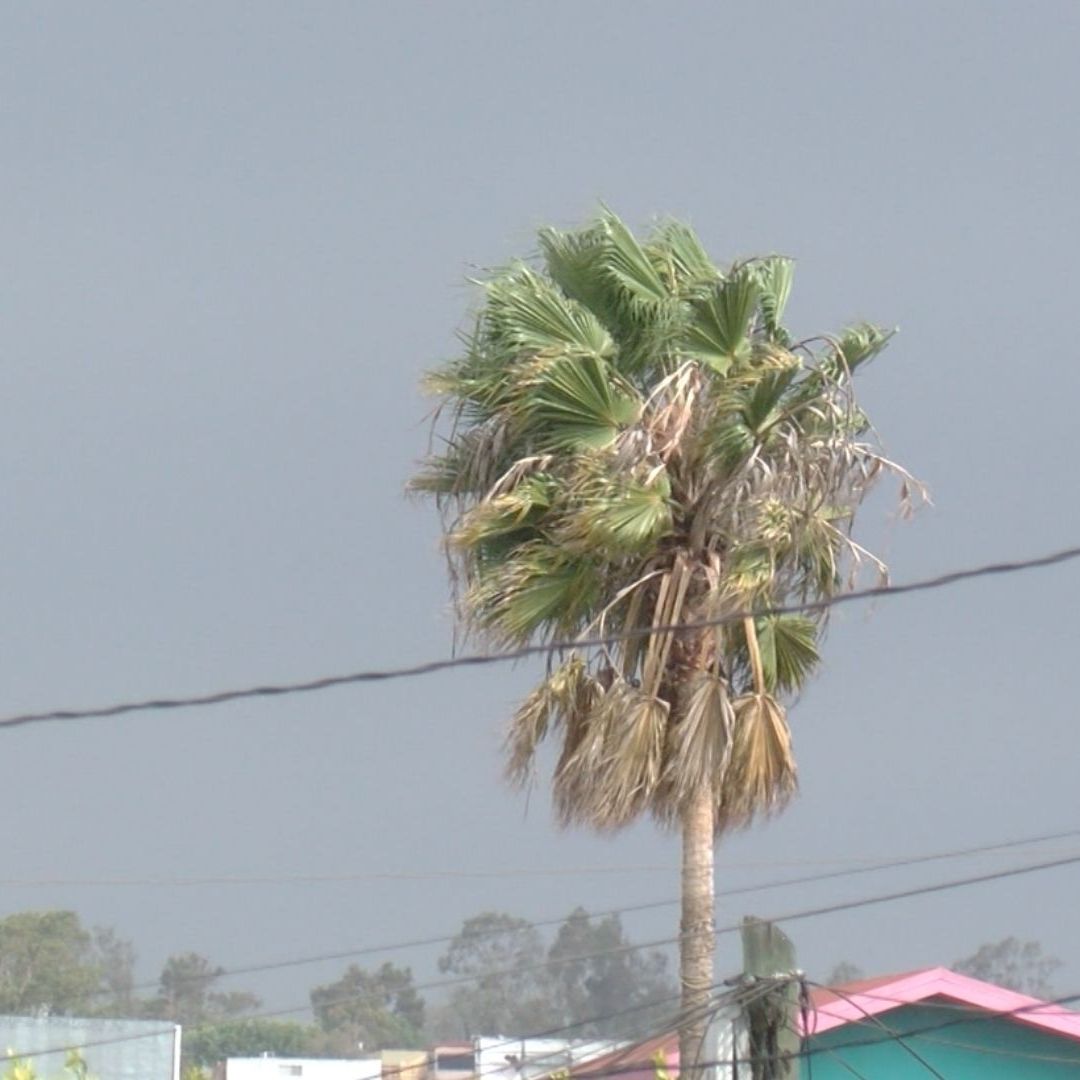 Alertan por Lluvias, Vientos Fuertes y Posibles Tormentas Eléctricas en Tijuana