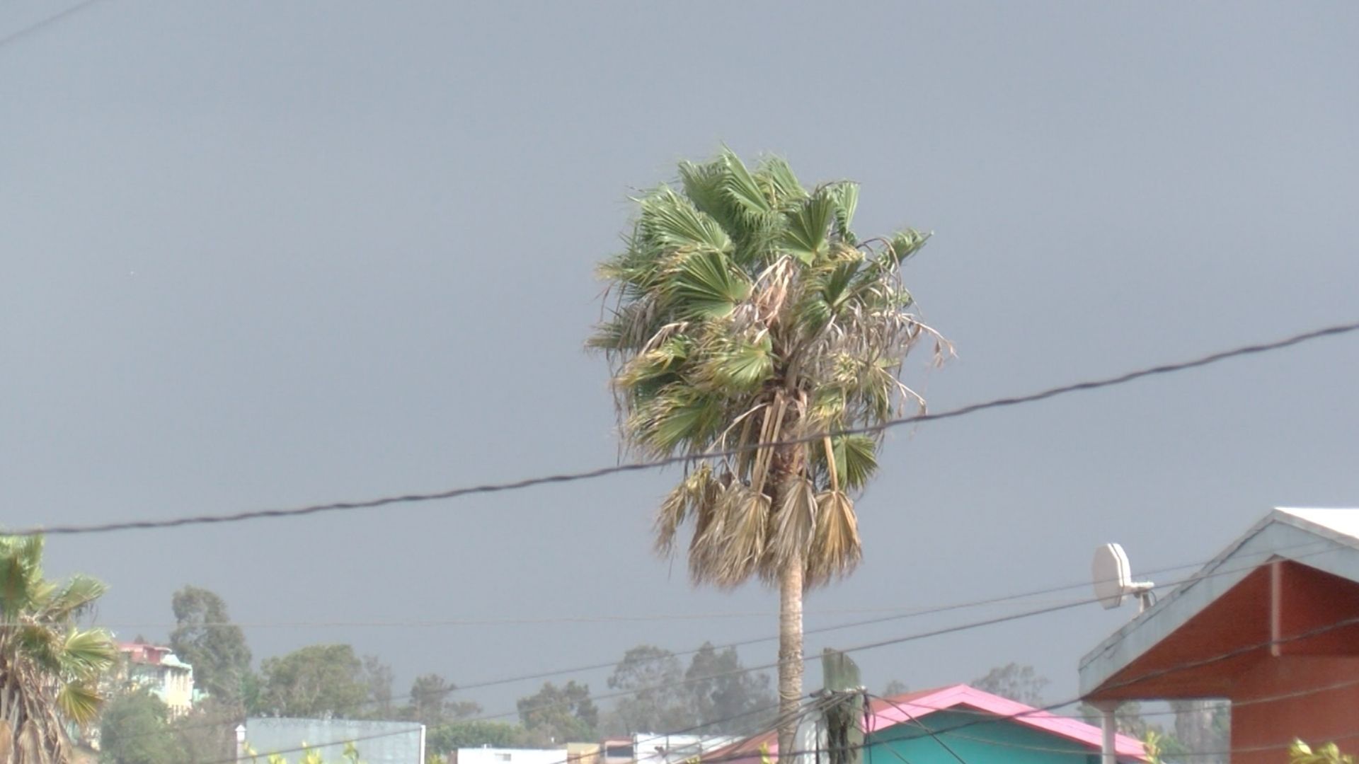 Alertan por Lluvias, Vientos Fuertes y Posibles Tormentas Eléctricas en Tijuana