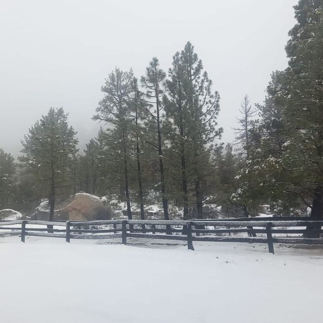 Frente Frío Provoca Nevadas en Parques Nacionales de Baja California