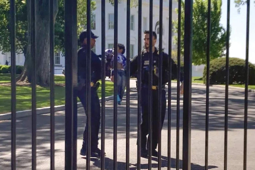 Oficiales cargan a un niño pequeño que se arrastró a través de la cerca de la Casa Blanca