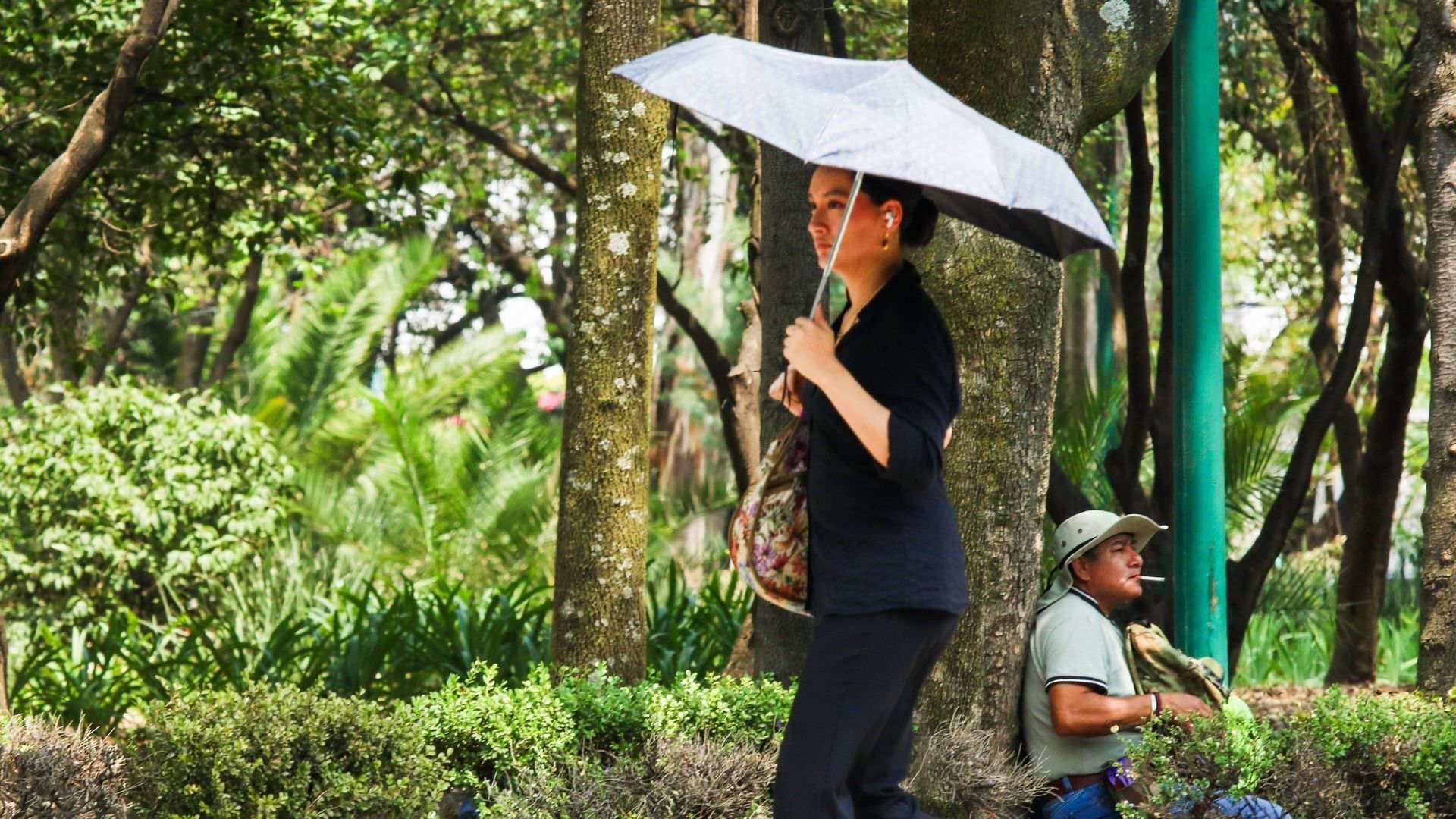CDMX, en ola de calor en pleno invierno