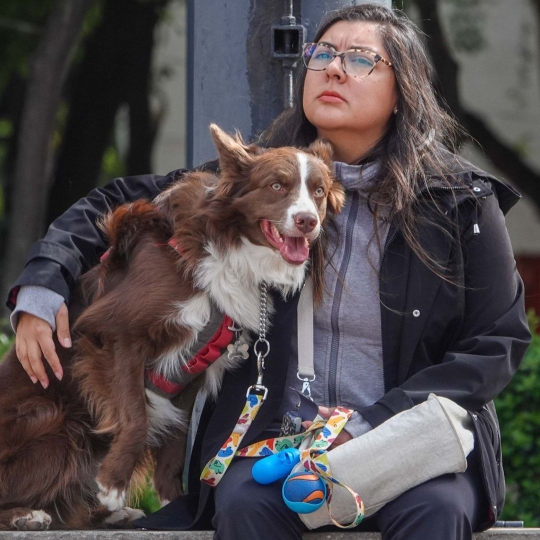 En el Mercado de Mascotas en México Incrementa el Gasto en Alimento y Salud