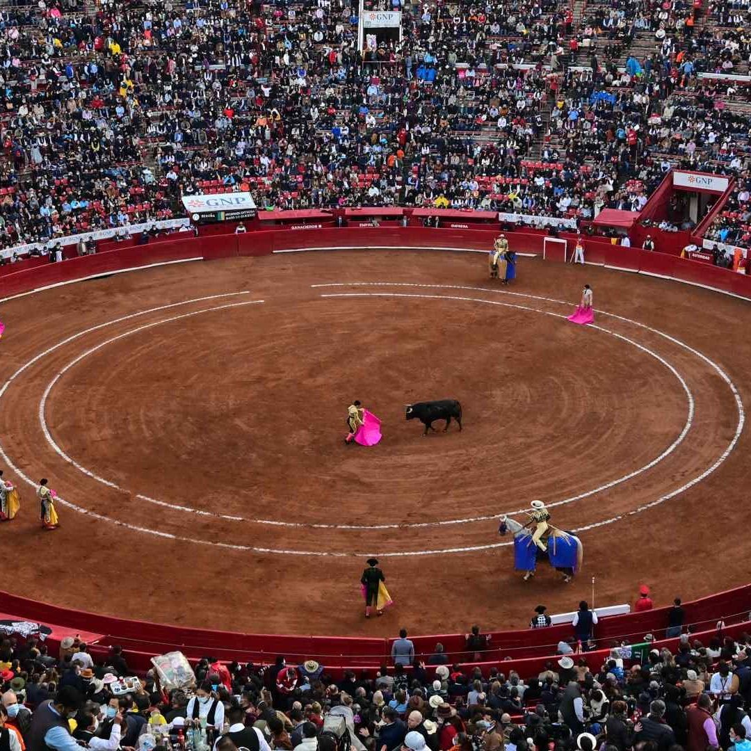 Regresan las corridas de toros a la Plaza México