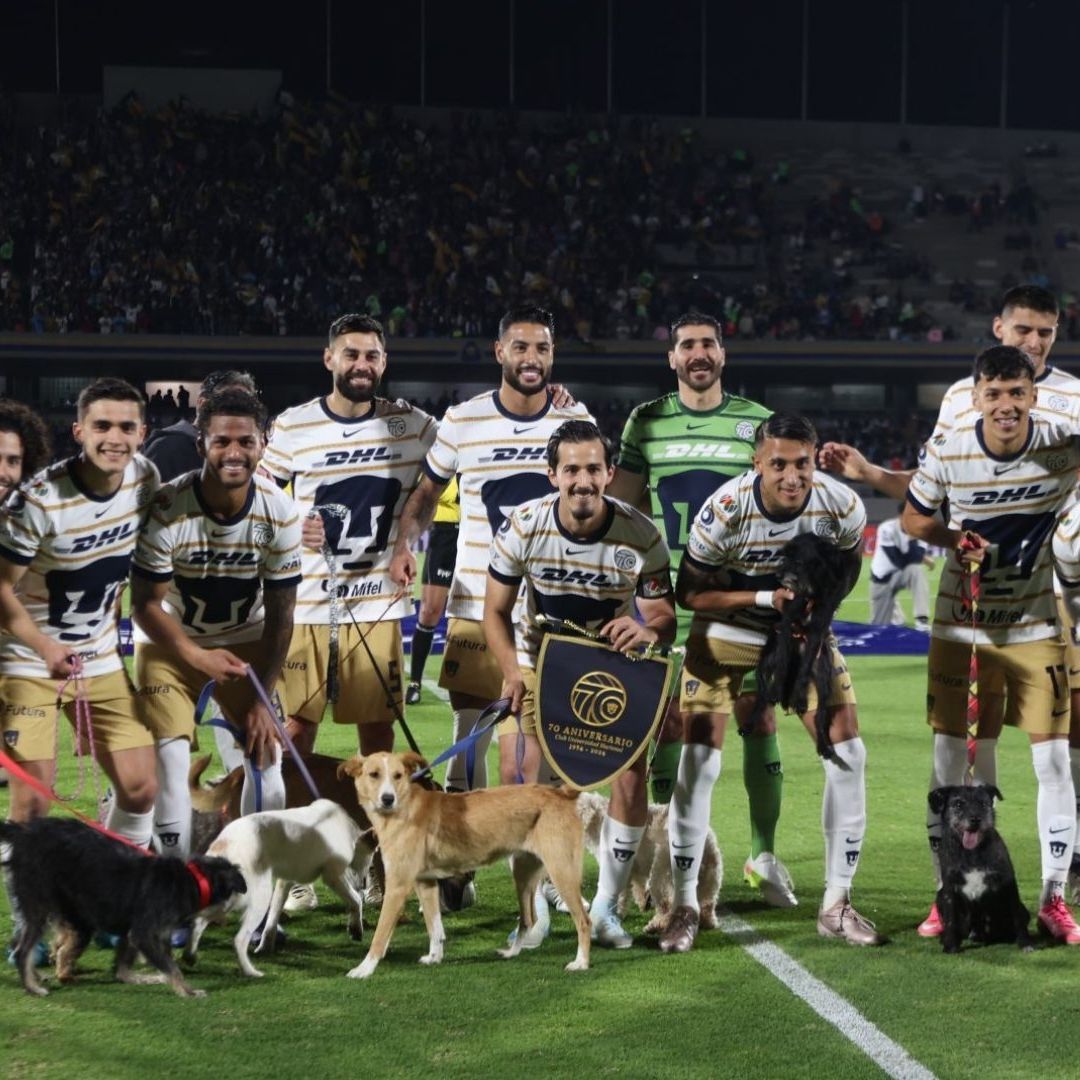 Pumas promueve adopción de perritos