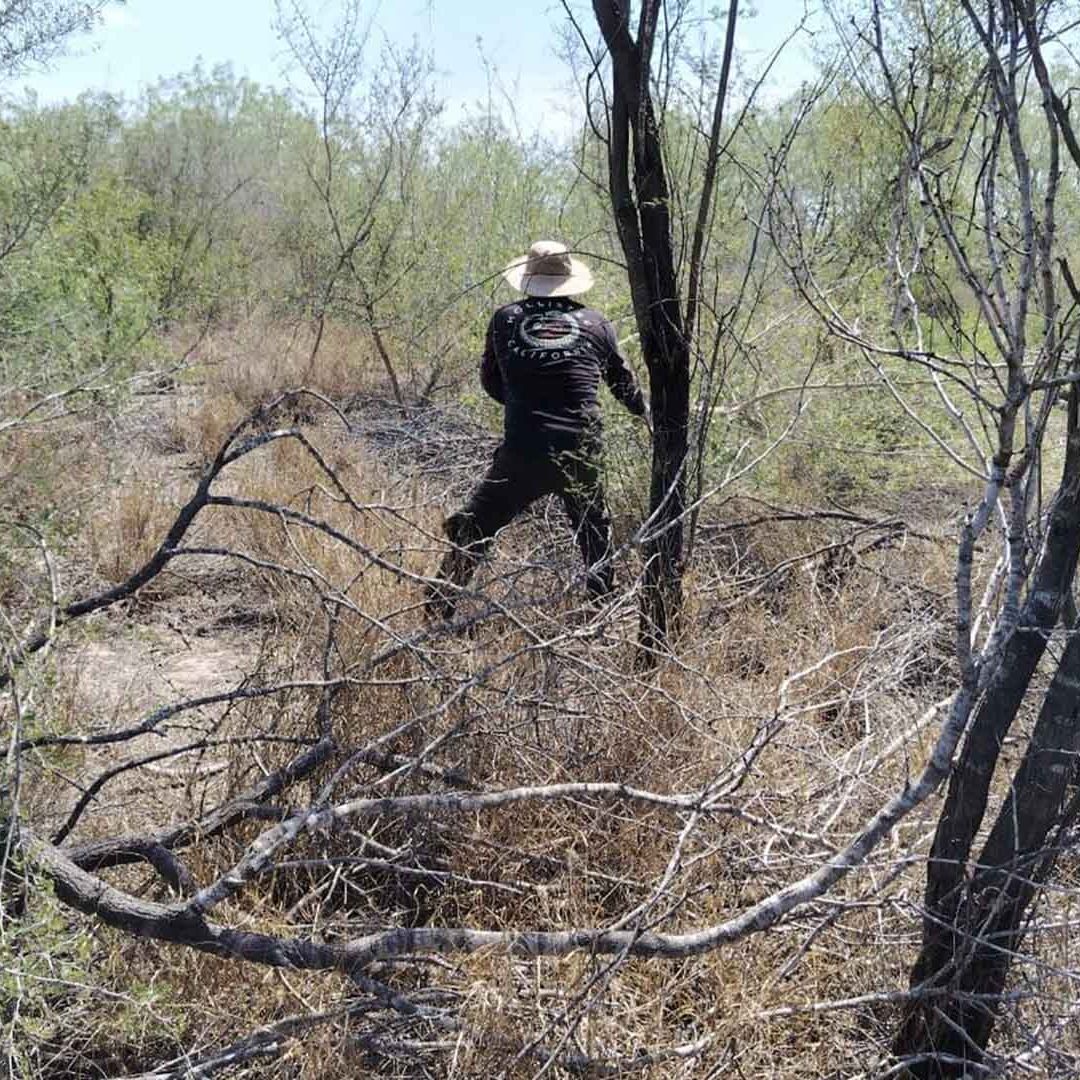 Colectivo de Búsqueda Halla Restos Óseos Calcinados en Reynosa; ya Suman 11 Hallazgos en 2026