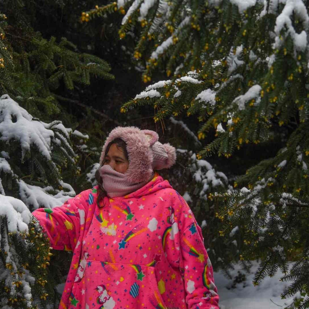 Personas acudieron a las faldas del Nevado de Toluca para disfrutar de la nieve el 31 de marzo de 2026. Foto: Cuartoscuro