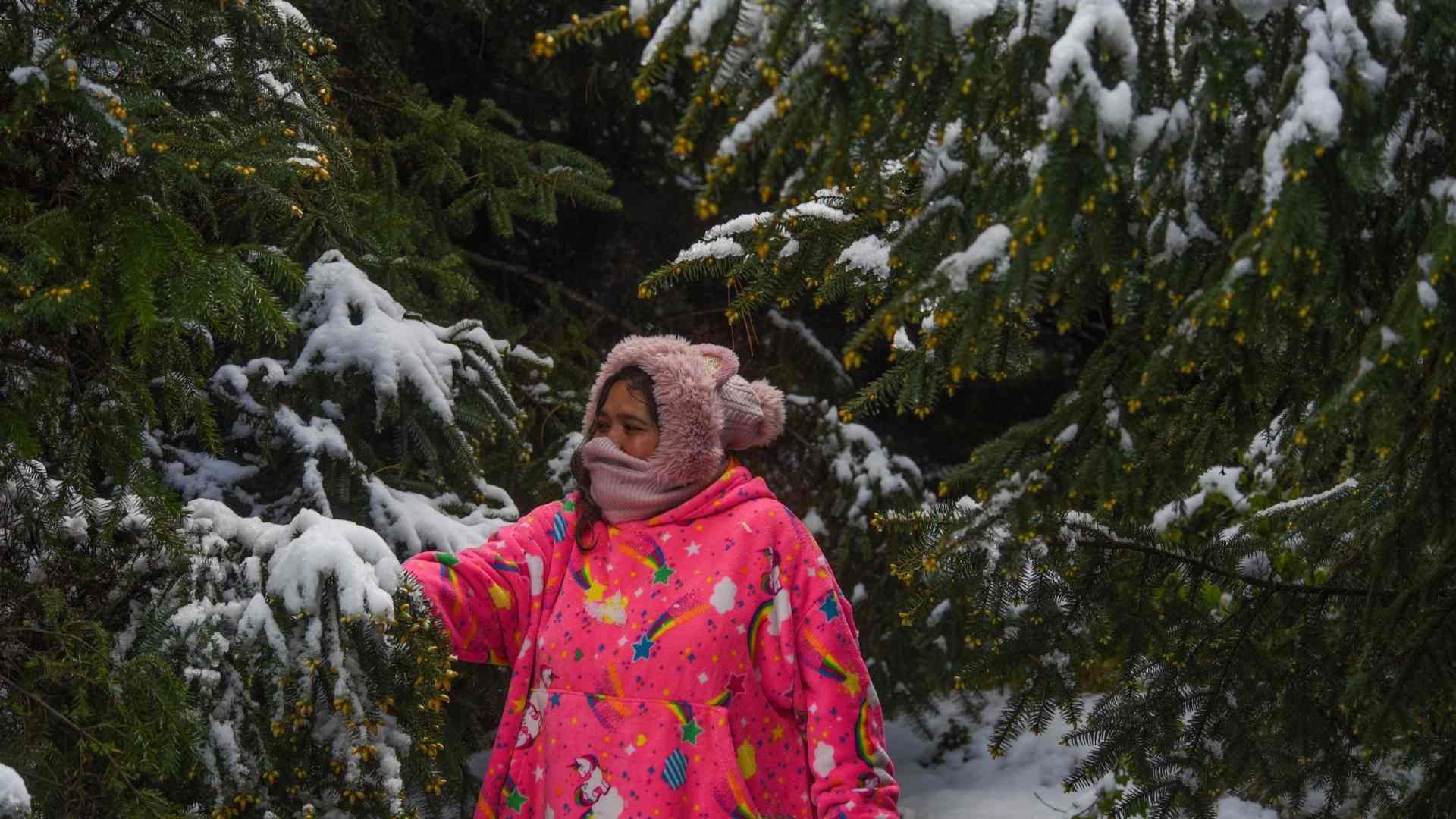 Personas acudieron a las faldas del Nevado de Toluca para disfrutar de la nieve el 31 de marzo de 2026. Foto: Cuartoscuro