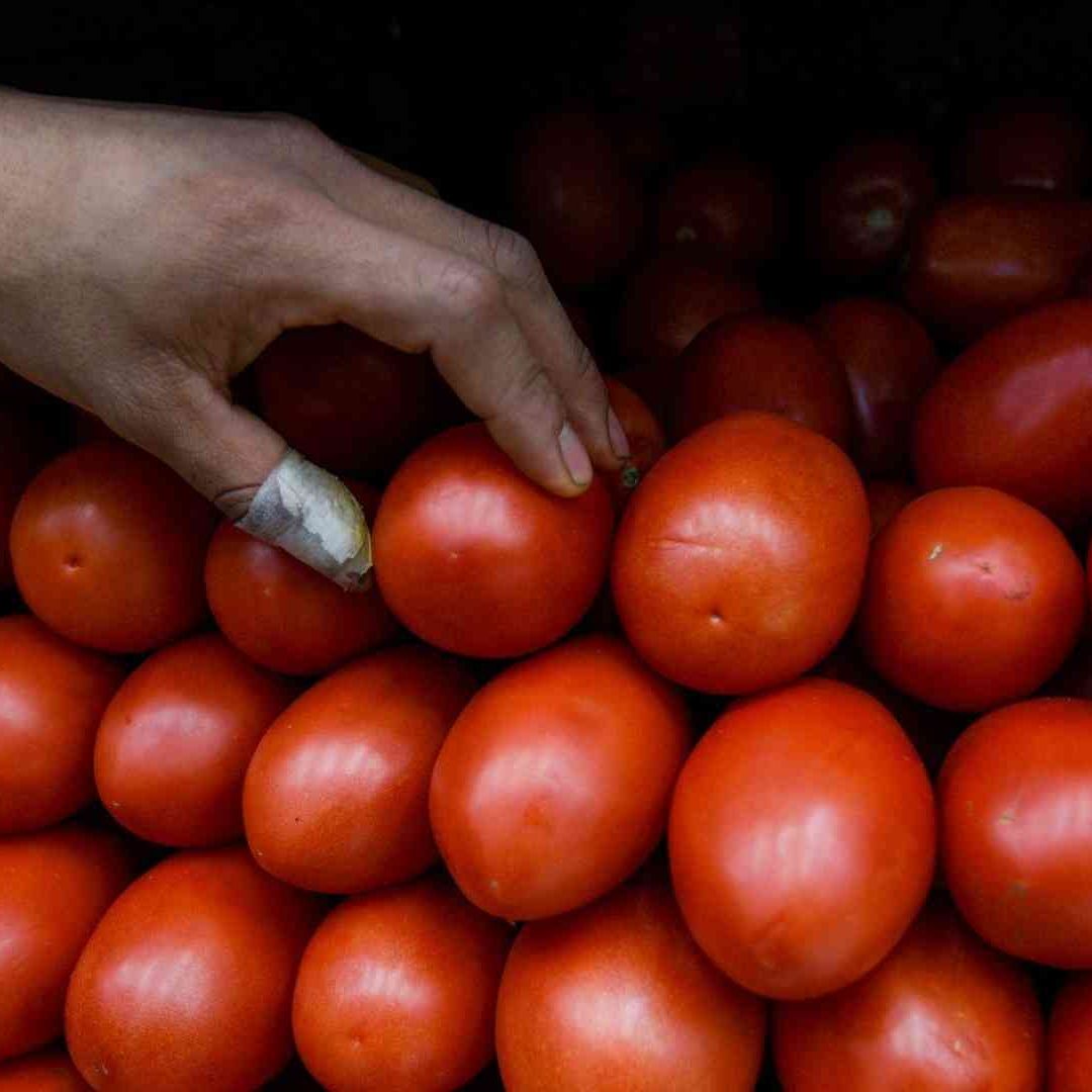 Baja Precio del Jitomate en México