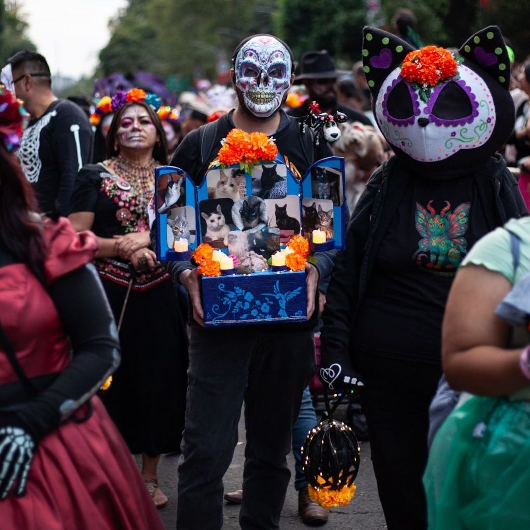 Procesión de catrinas en Reforma, CDMX, por Día de Muertos 2025