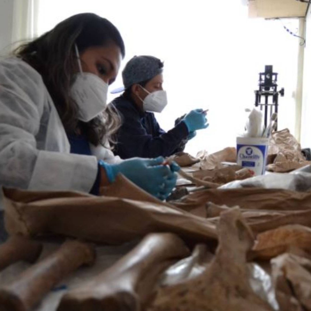 INAH Muestra Hallazgos en Excavaciones en Obras Trolebús