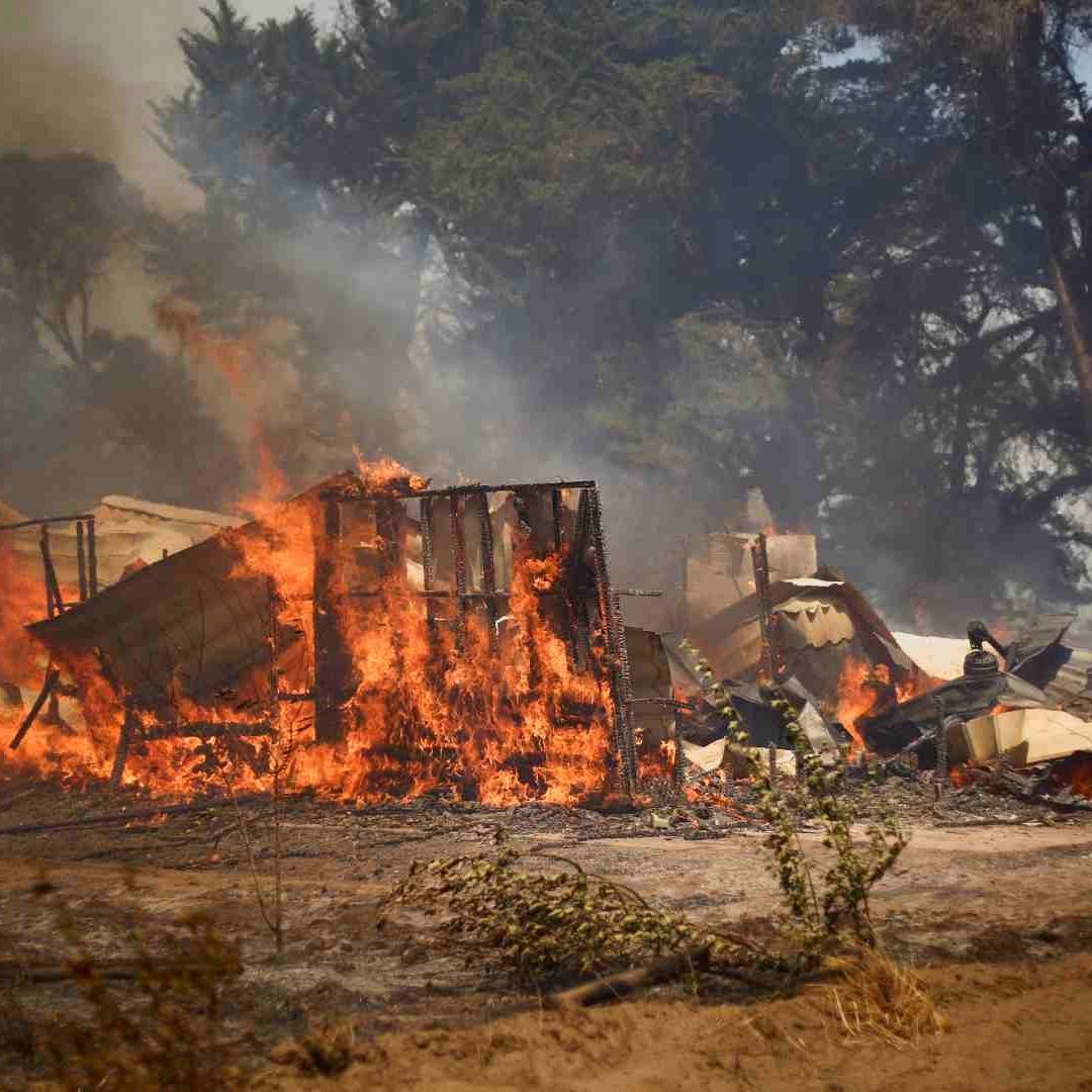 Incendios Forestales en Chile: Piden Ayuda a Mexico para Combatirlos