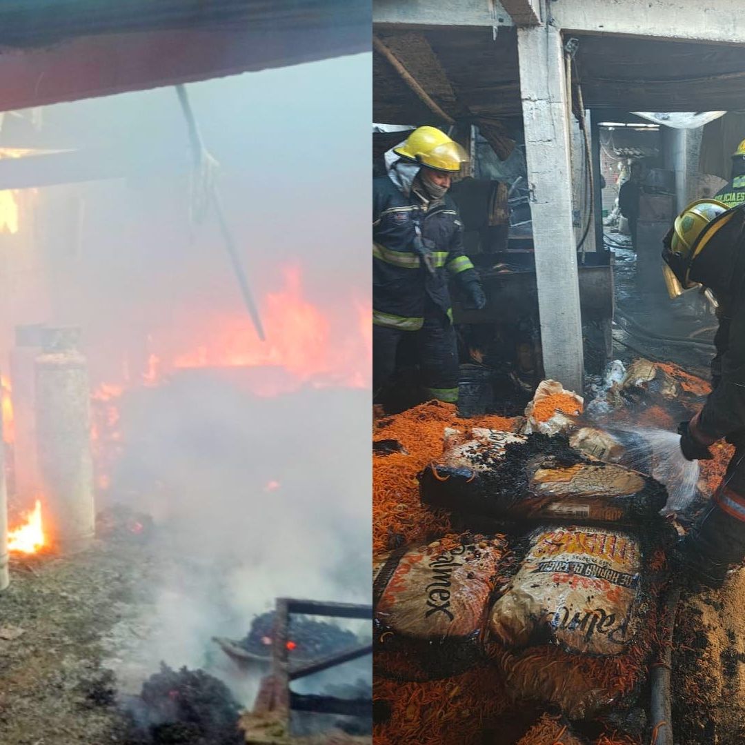 Incendio Negocio de Botanas y Frituras en Colonia Arboledas de Loma Bella Privada 6 A Sur Puebla