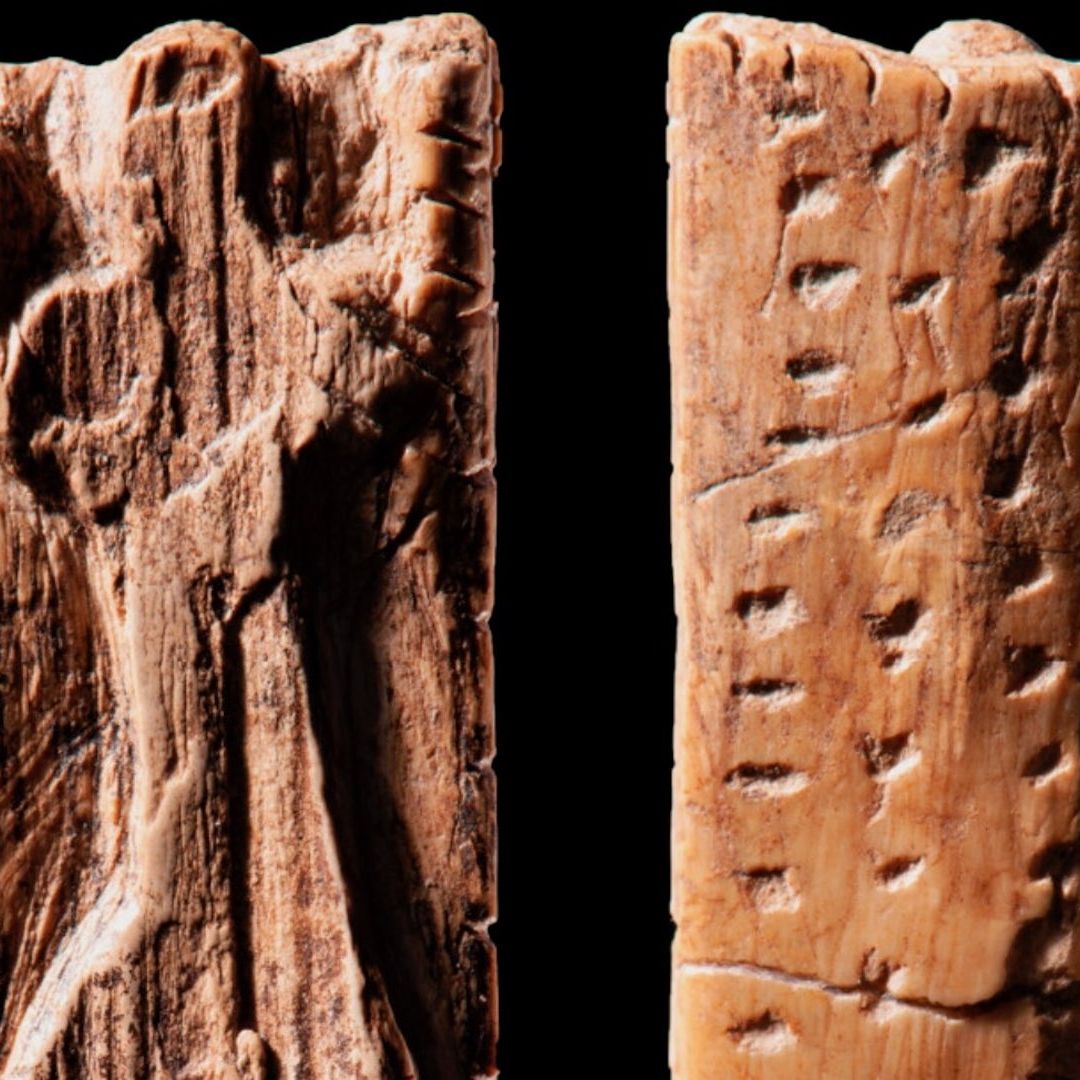 Descubren en Alemania hueso de mamut con antecedentes de escritura cuneiforme