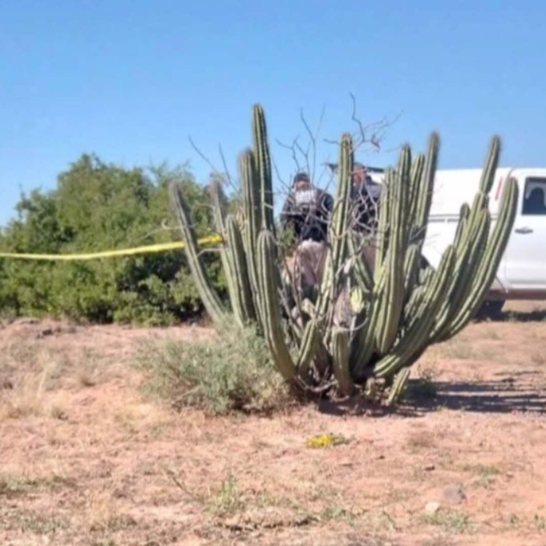 Localizan Cuerpo Sin Vida con Signos de Violencia en el Valle de Empalme, Sonora