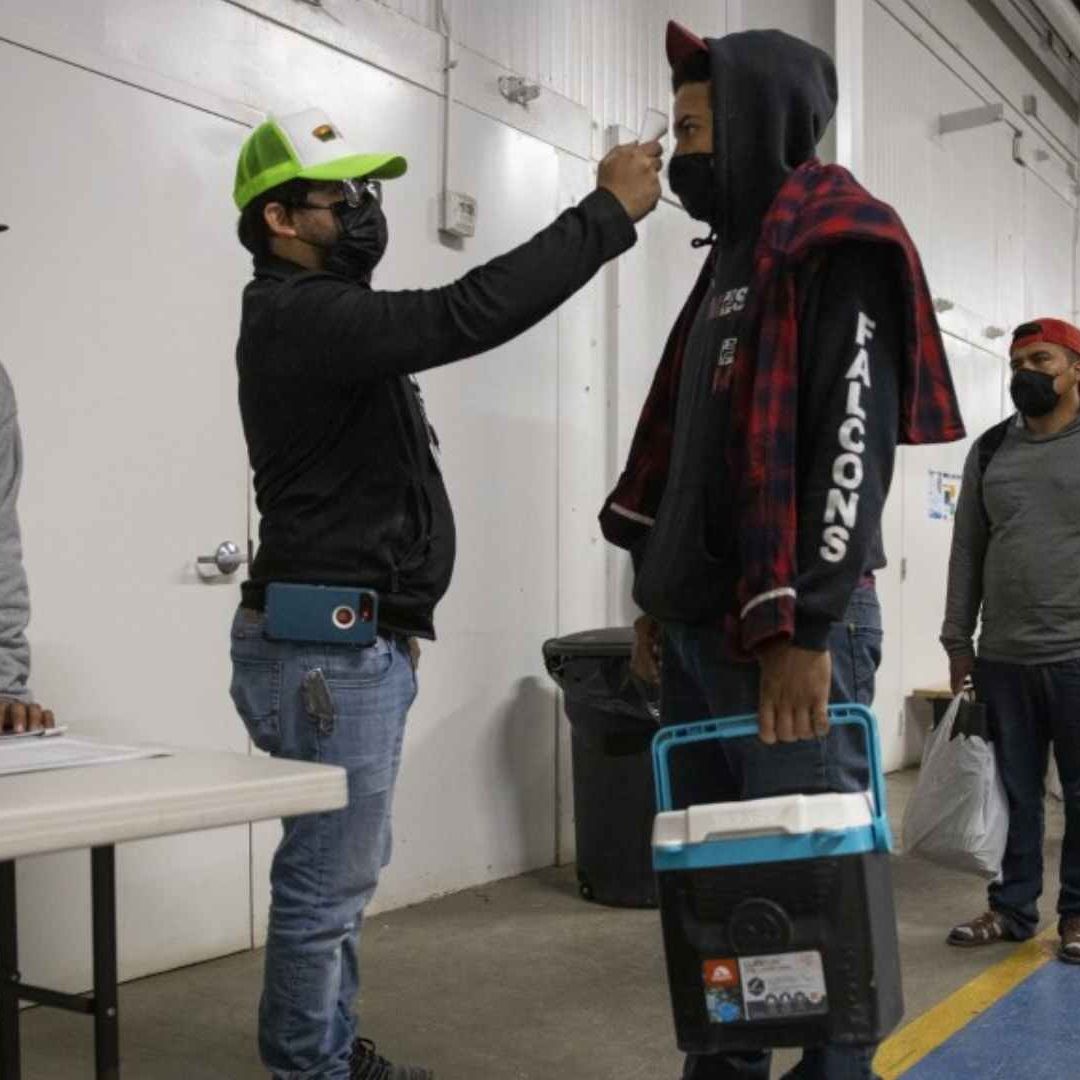Migrantes en EUA, 'cruciales' para el sector sanitario