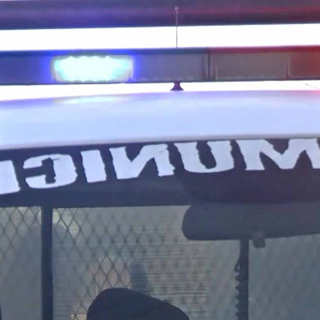 Colectivo Halla Posibles Evidencias Relacionadas con Personas Desaparecidas en Coahuila