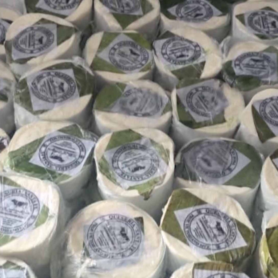 Autoridades Detectan y Retiran 153 Kilos de Quesos con Brucella en Tamaulipas