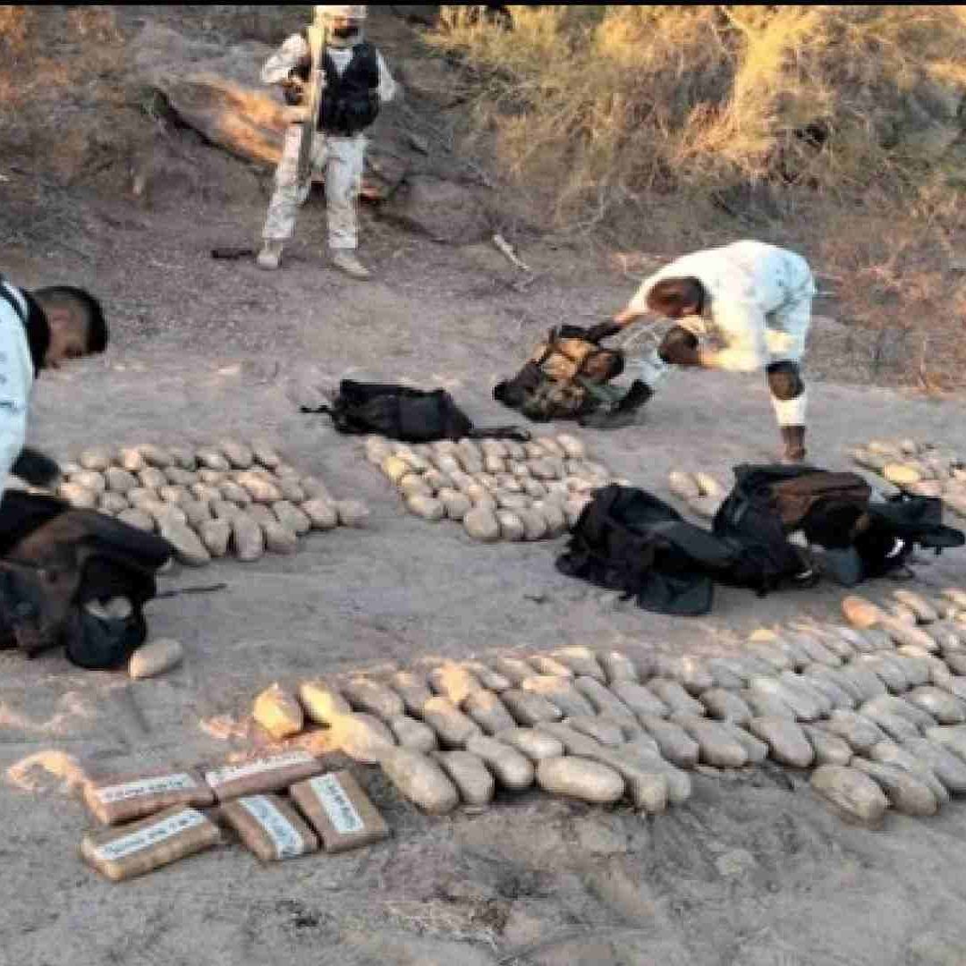 Alertan por tráfico de xilacina con fentanilo en EU
