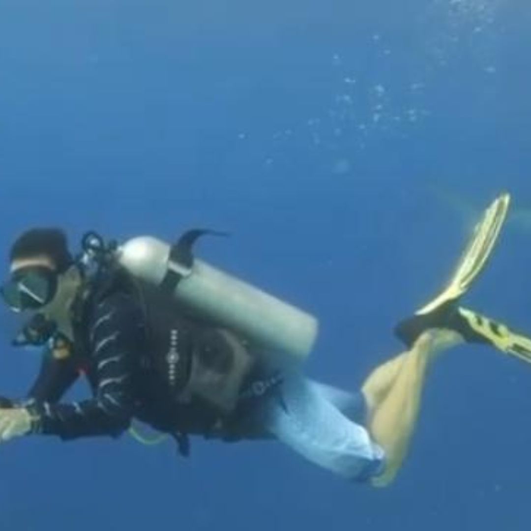 El biólogo mexicano Mauricio Hoyos fue atacado por un tiburón en la Isla del Coco, en Costa Rica.