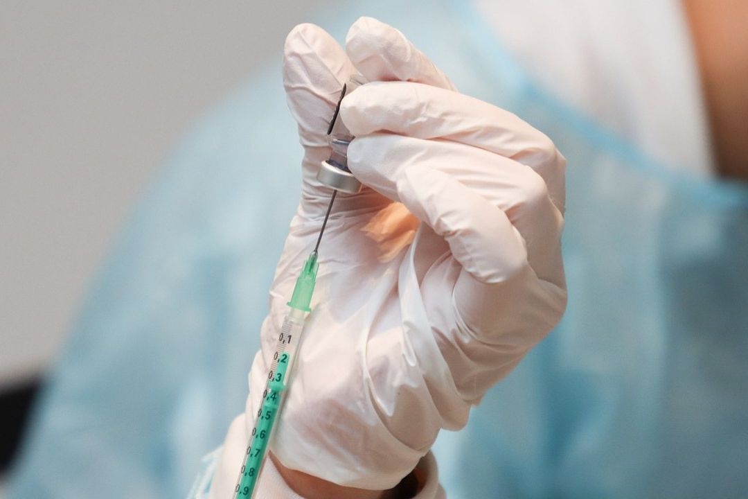 Cuba Alista Creación de Primera Vacuna Latina contra el Dengue