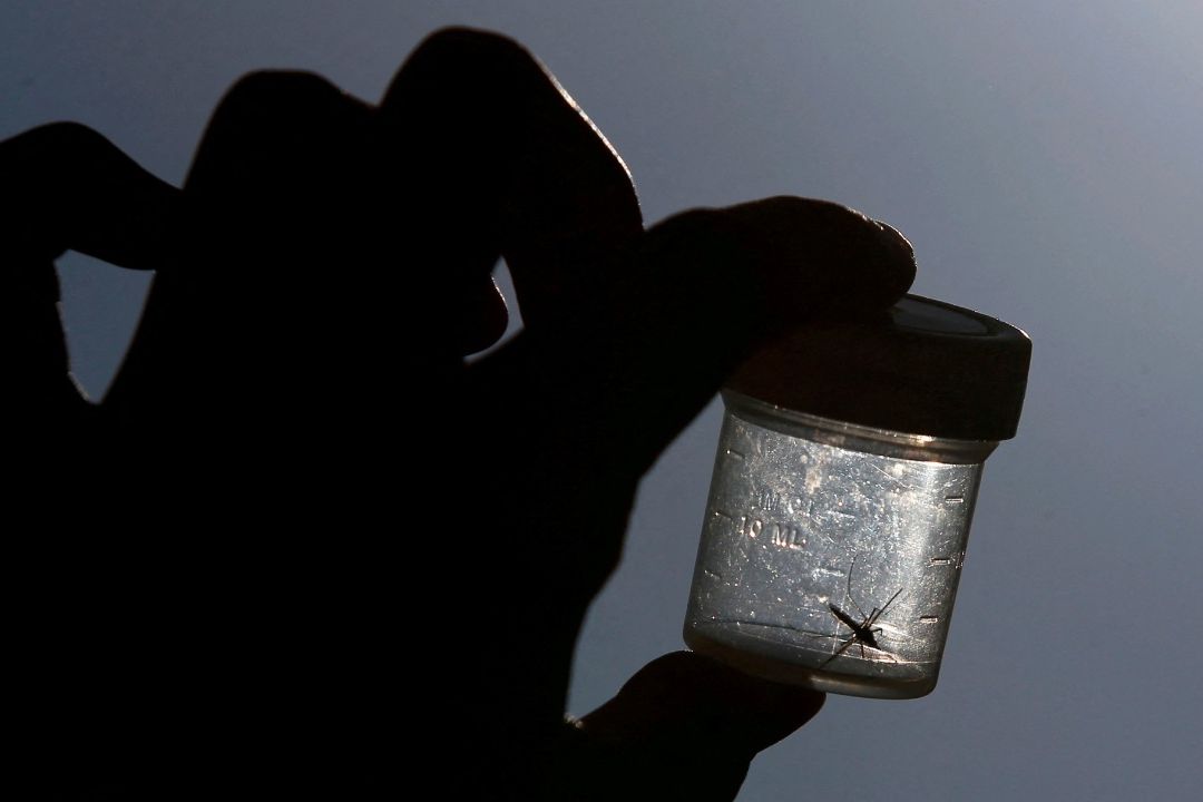 Tras 20 Años, Alerta en EUA por Primeros Casos de Malaria