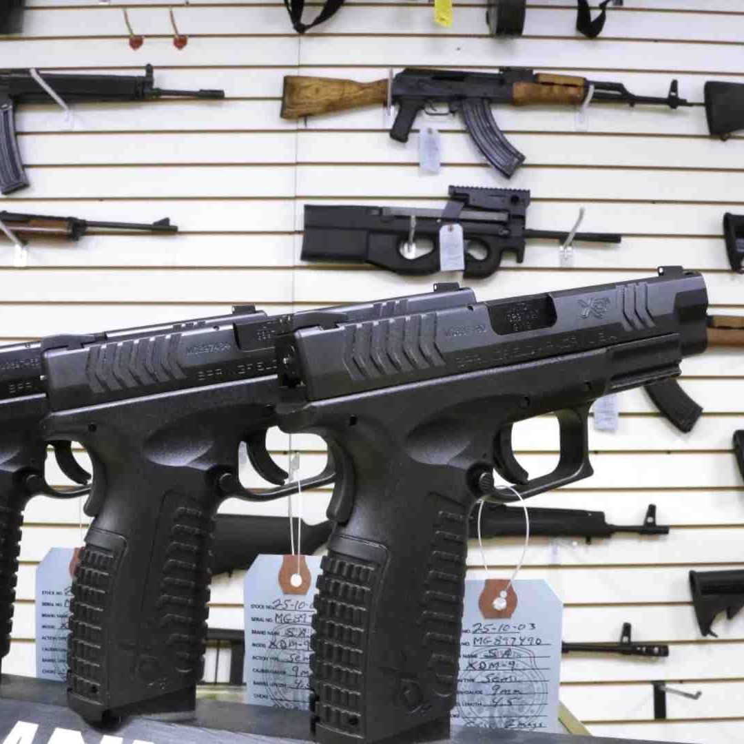 20% de Hispanos en EUA les Gustan las Armas y Tienen Una