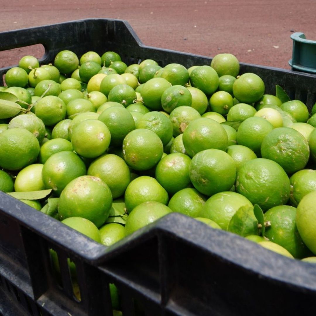 Inflación en México, en 4.58%: Cuánto Subió Precio del Limón y Otros Productos