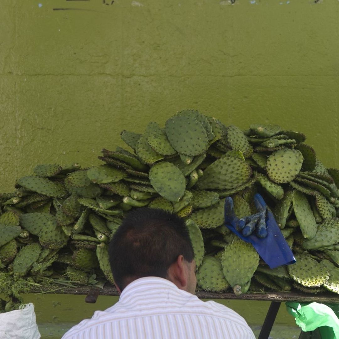 Inflación en México, en 4.69%: Nopales Encabezan Lista de Productos que Más Subieron de Precio