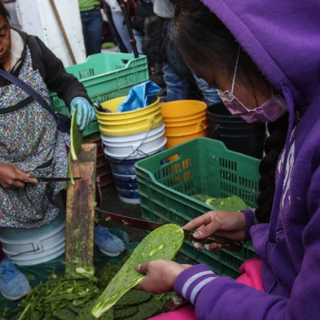 Inflación en México No Cede, Está en 4.76%: Precio de Nopales Sigue por las Nubes