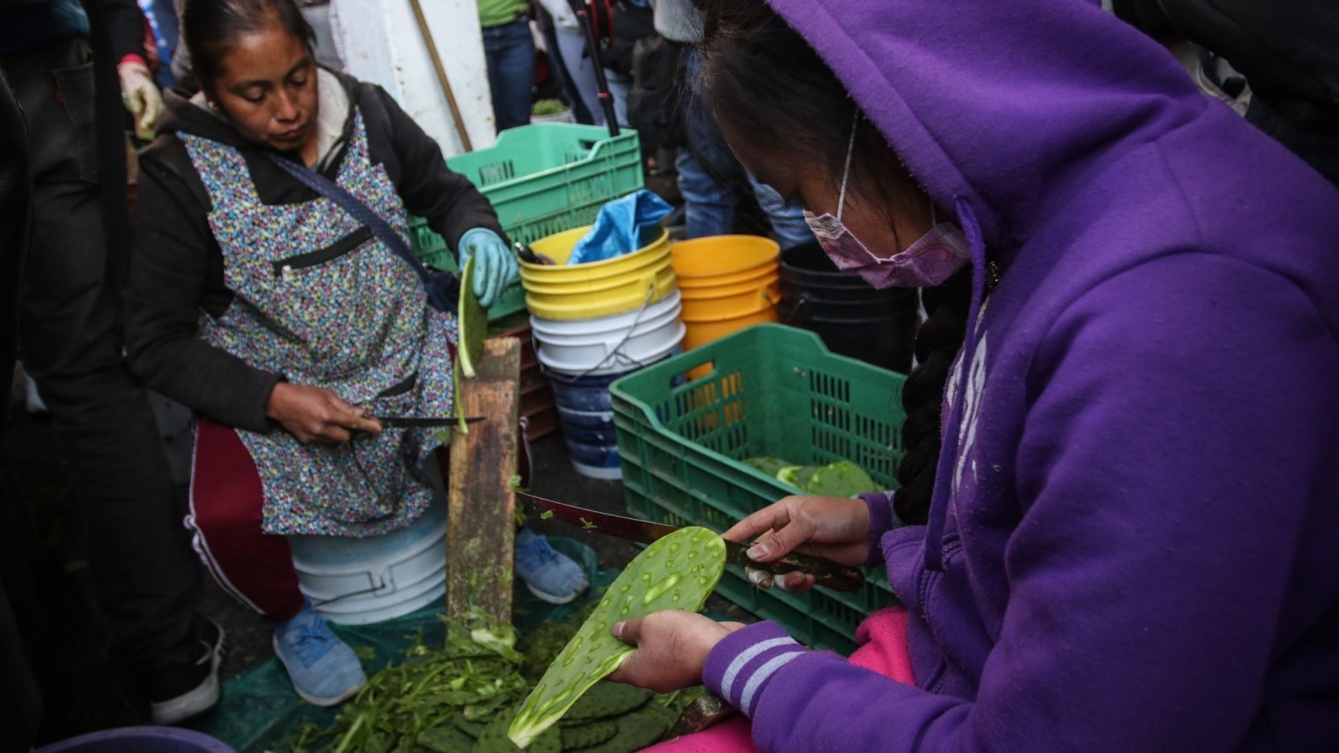 Inflación en México No Cede, Está en 4.76%: Precio de Nopales Sigue por las Nubes
