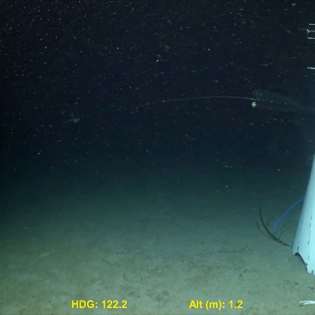 Tragedia del Submarino Titán de 2023 Se Pudo Evitar, Concluye Investigación de EUA