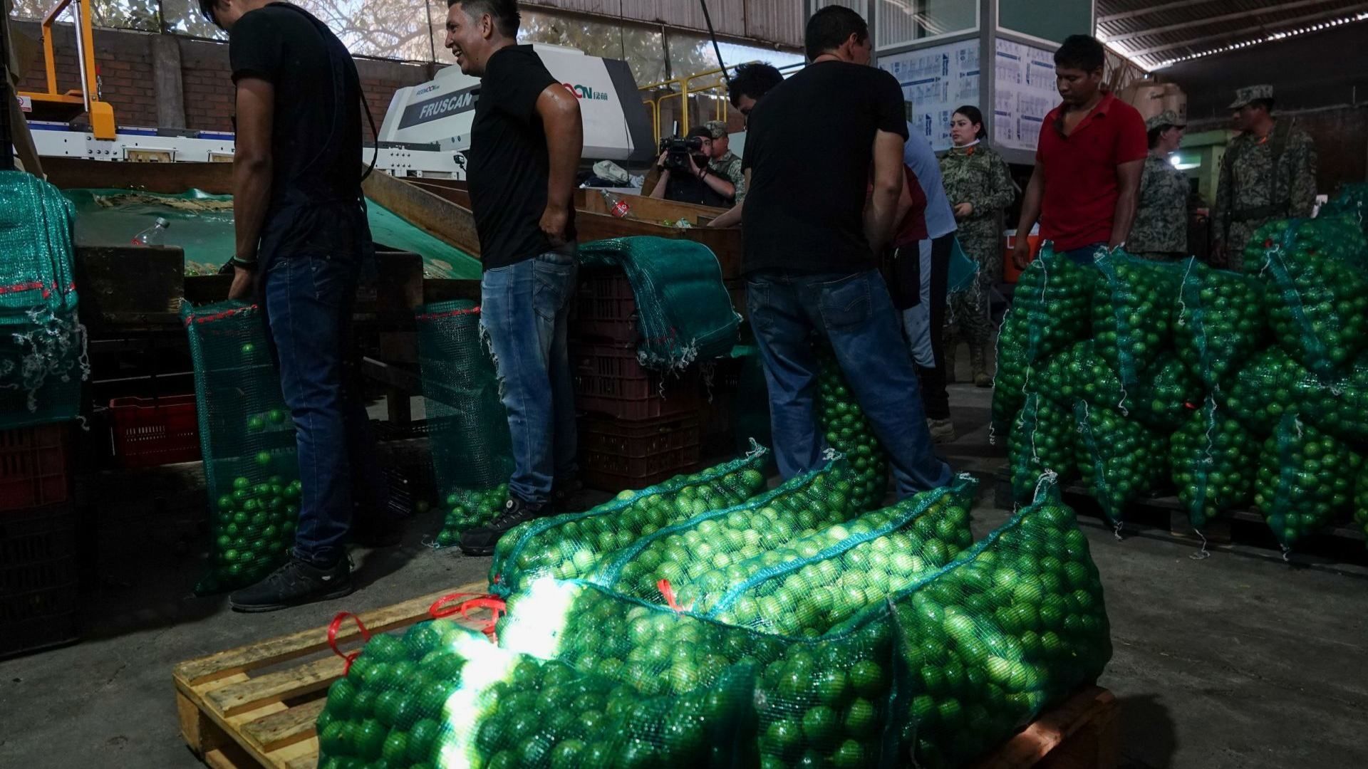 Personas junto a costales de limones