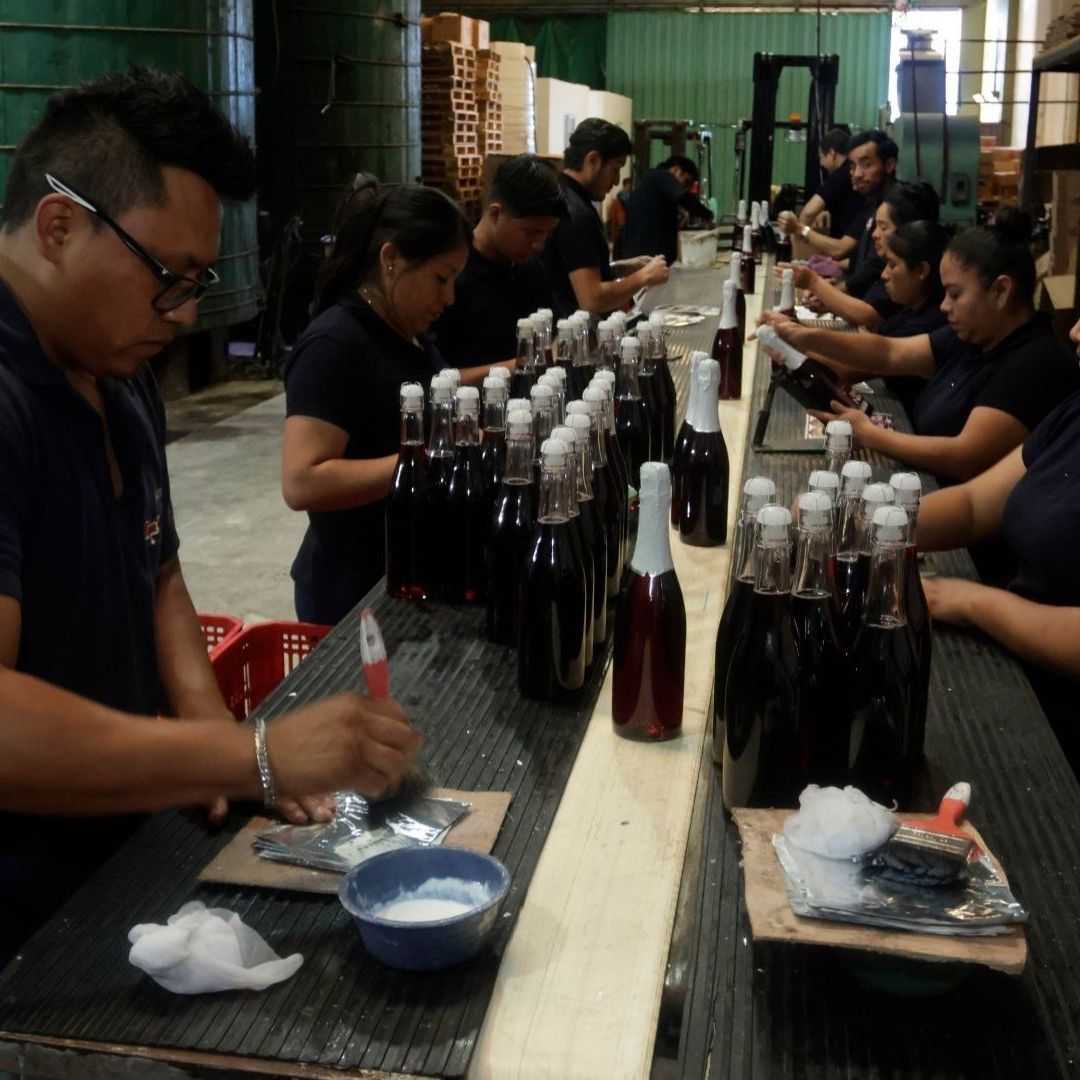 trabajadores en fábrica de sidra