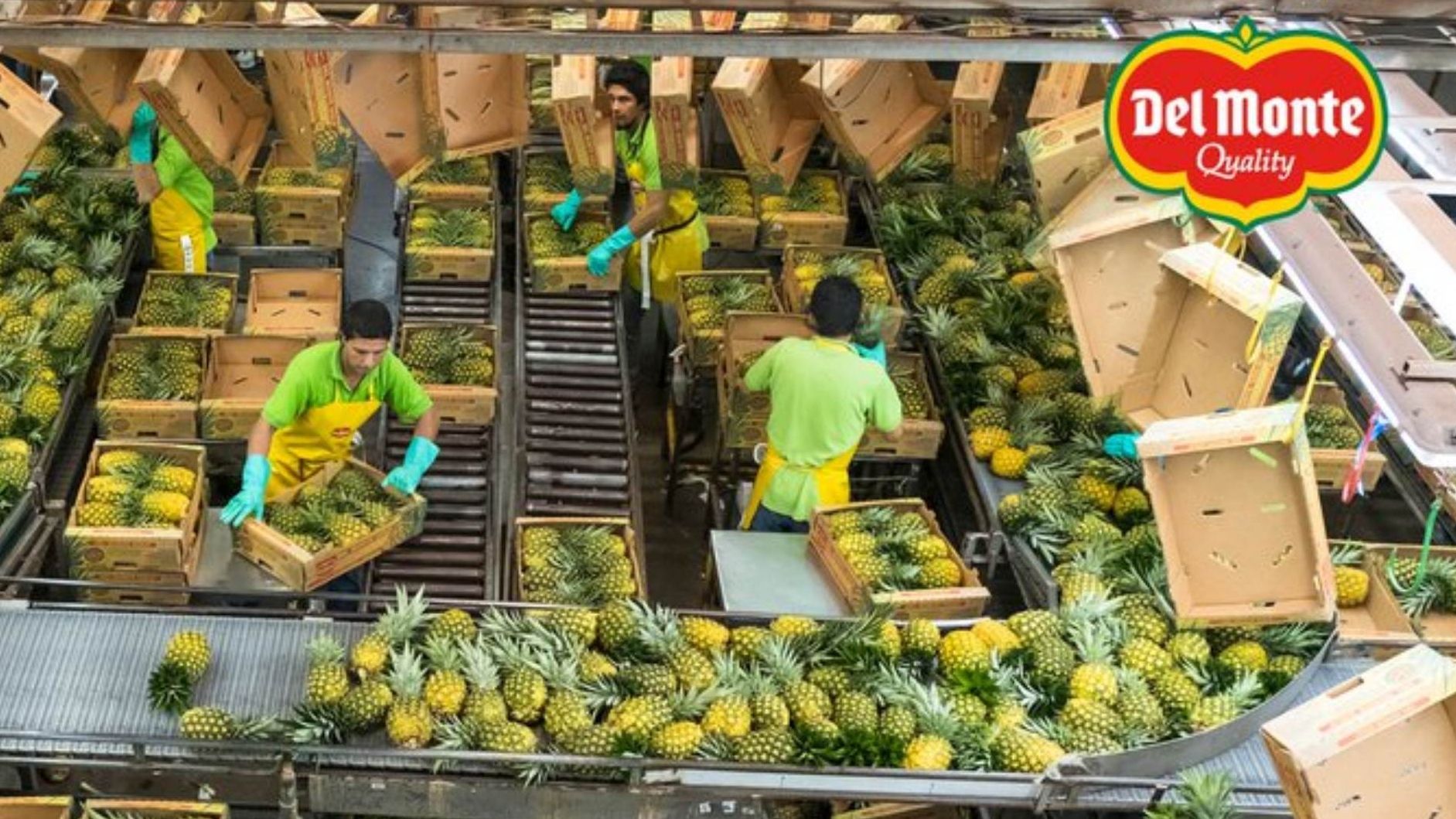 Del Monte Foods se Declara en Quiebra: ¿Qué Pasará con sus Productos en México? Esto Sabemos