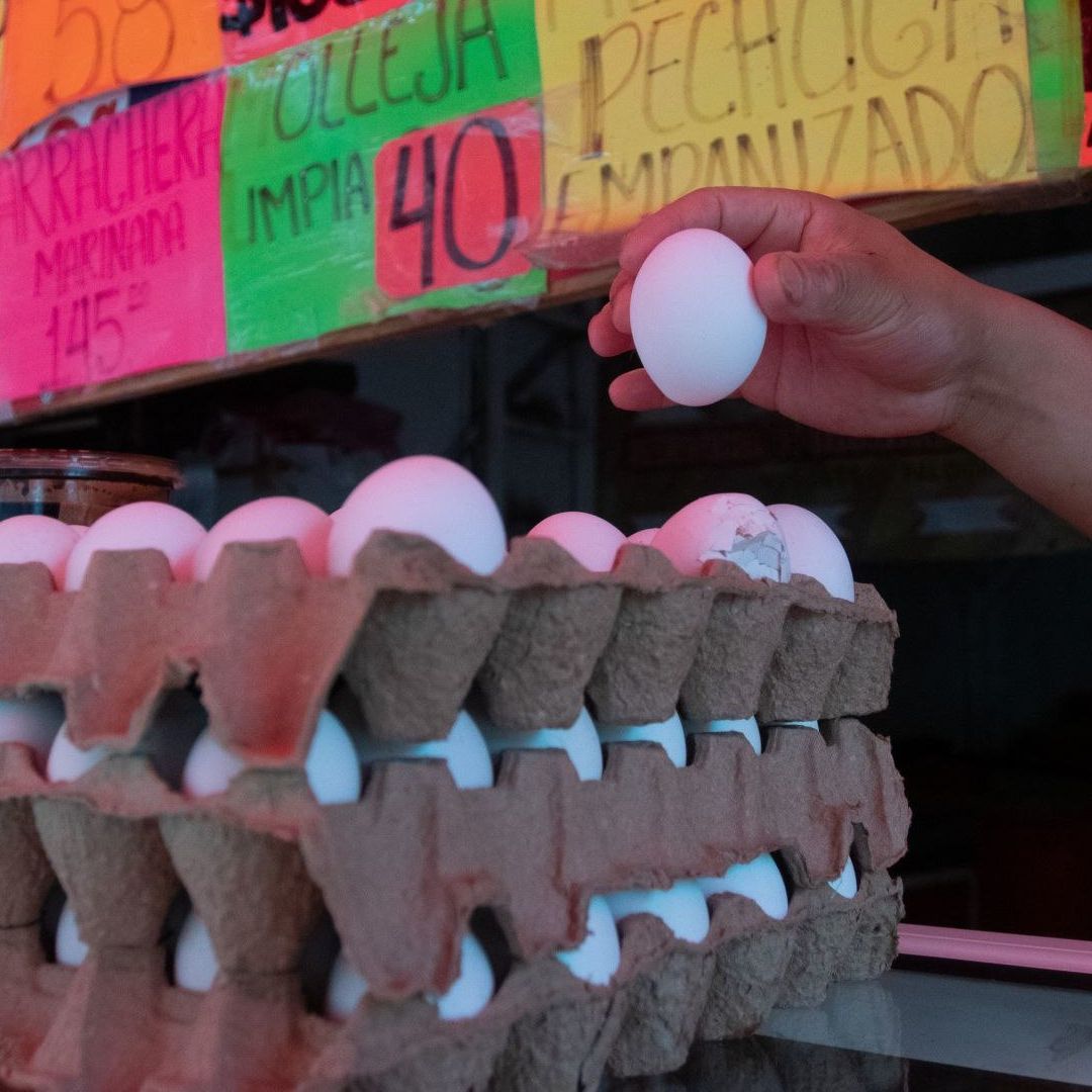 Cartones de huevo en un mercado