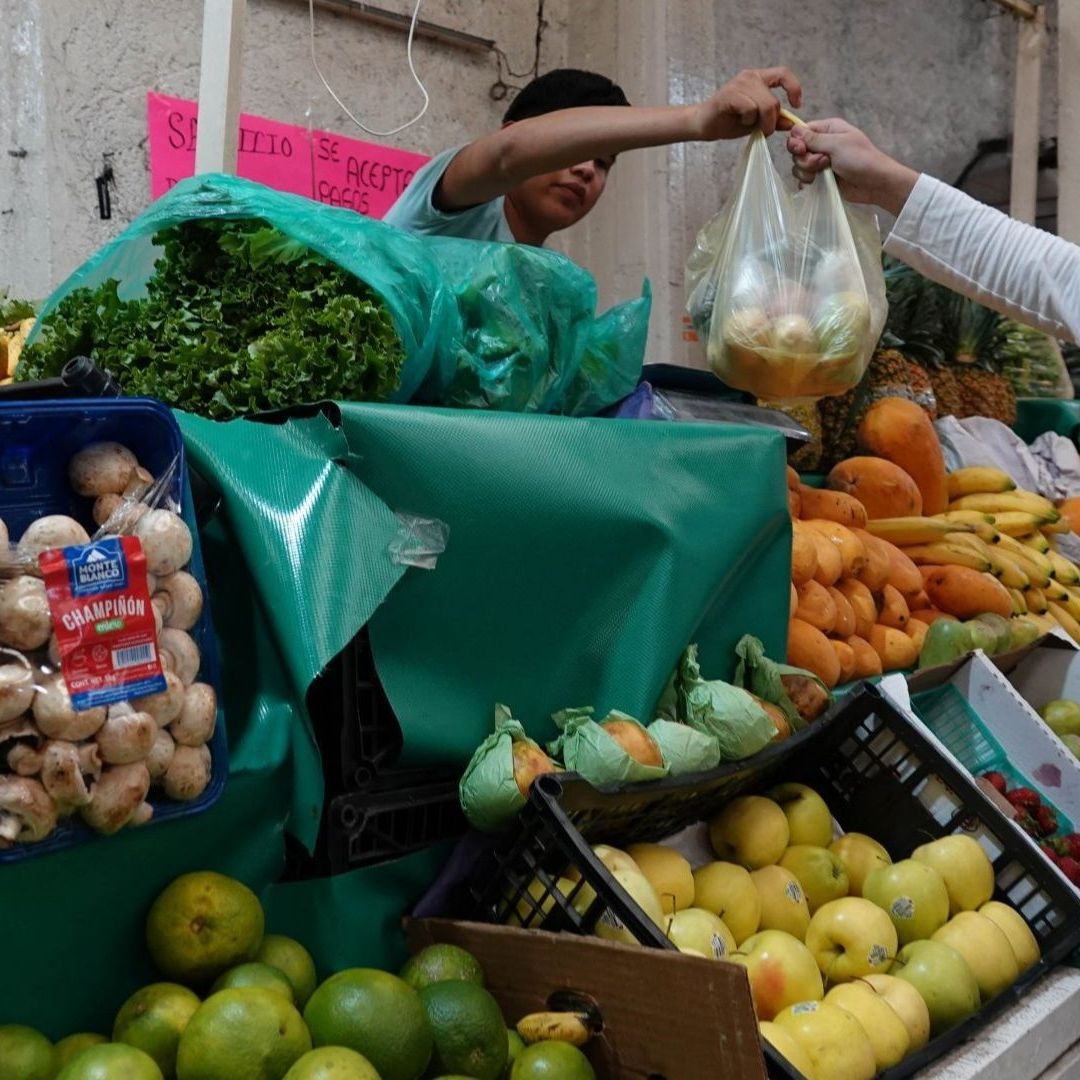 Persona recibe bolsa de plástico con verduras