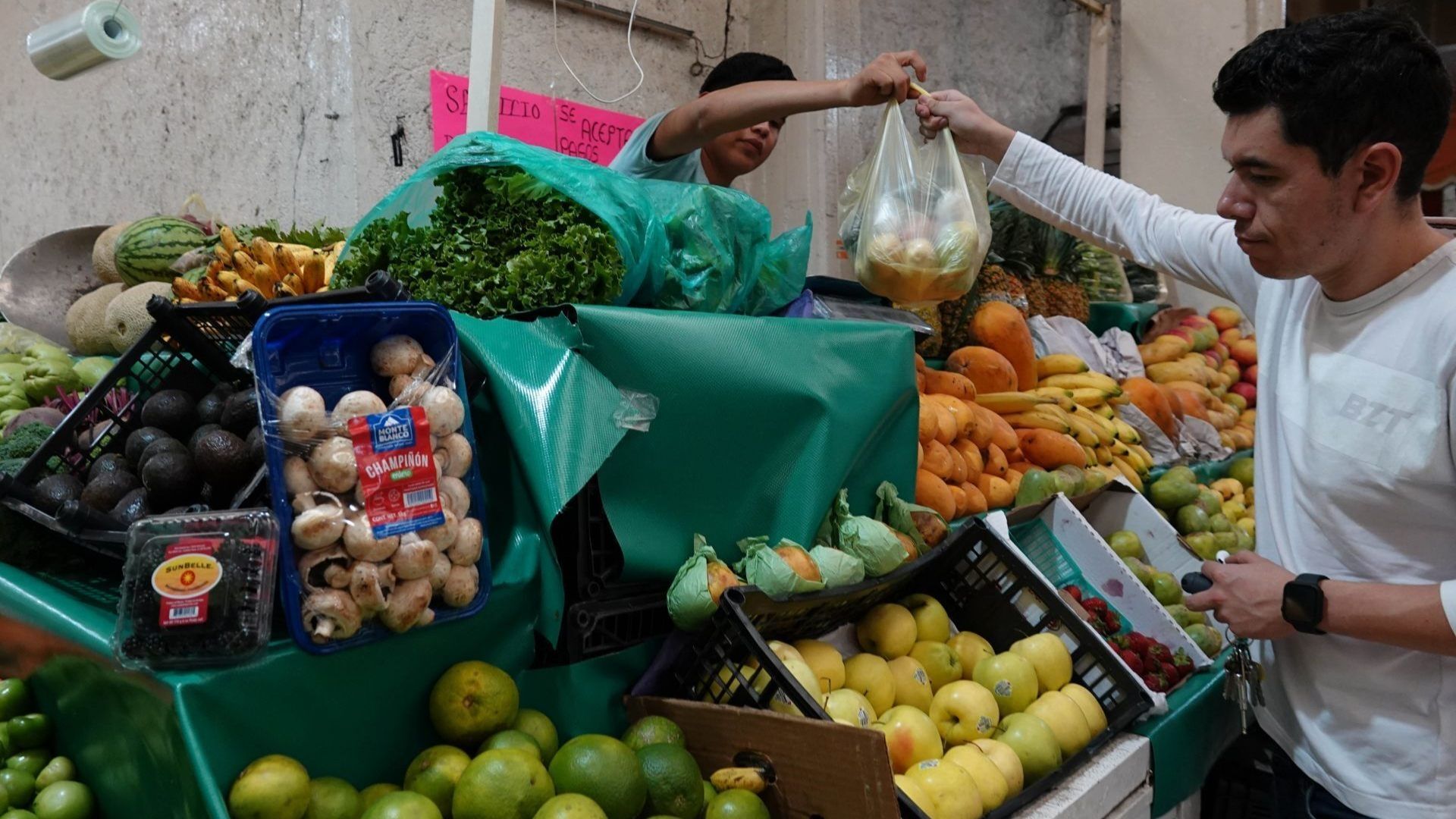 Persona recibe bolsa de plástico con verduras