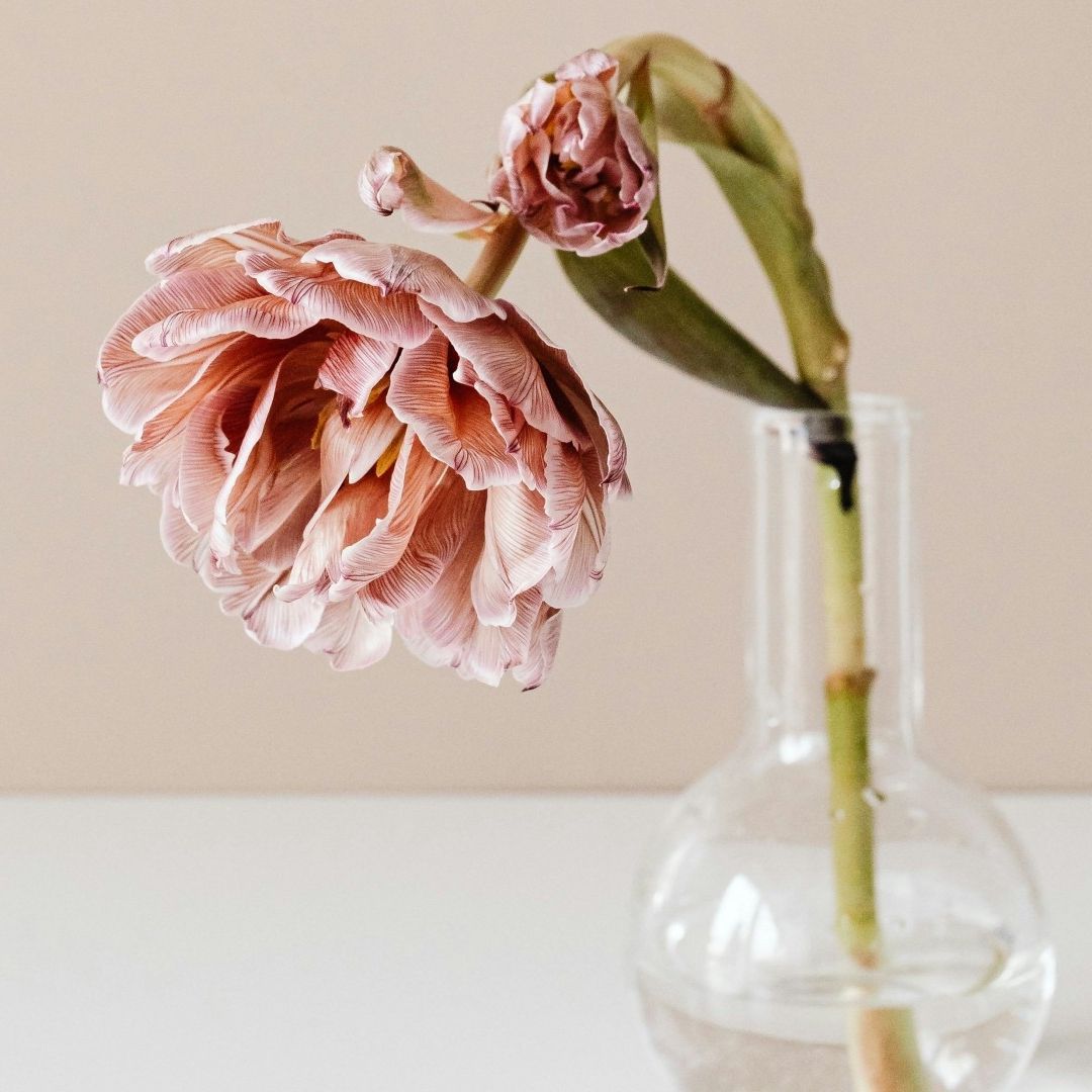 Flor Marchita por el Día Mundial del Suicidio 2025