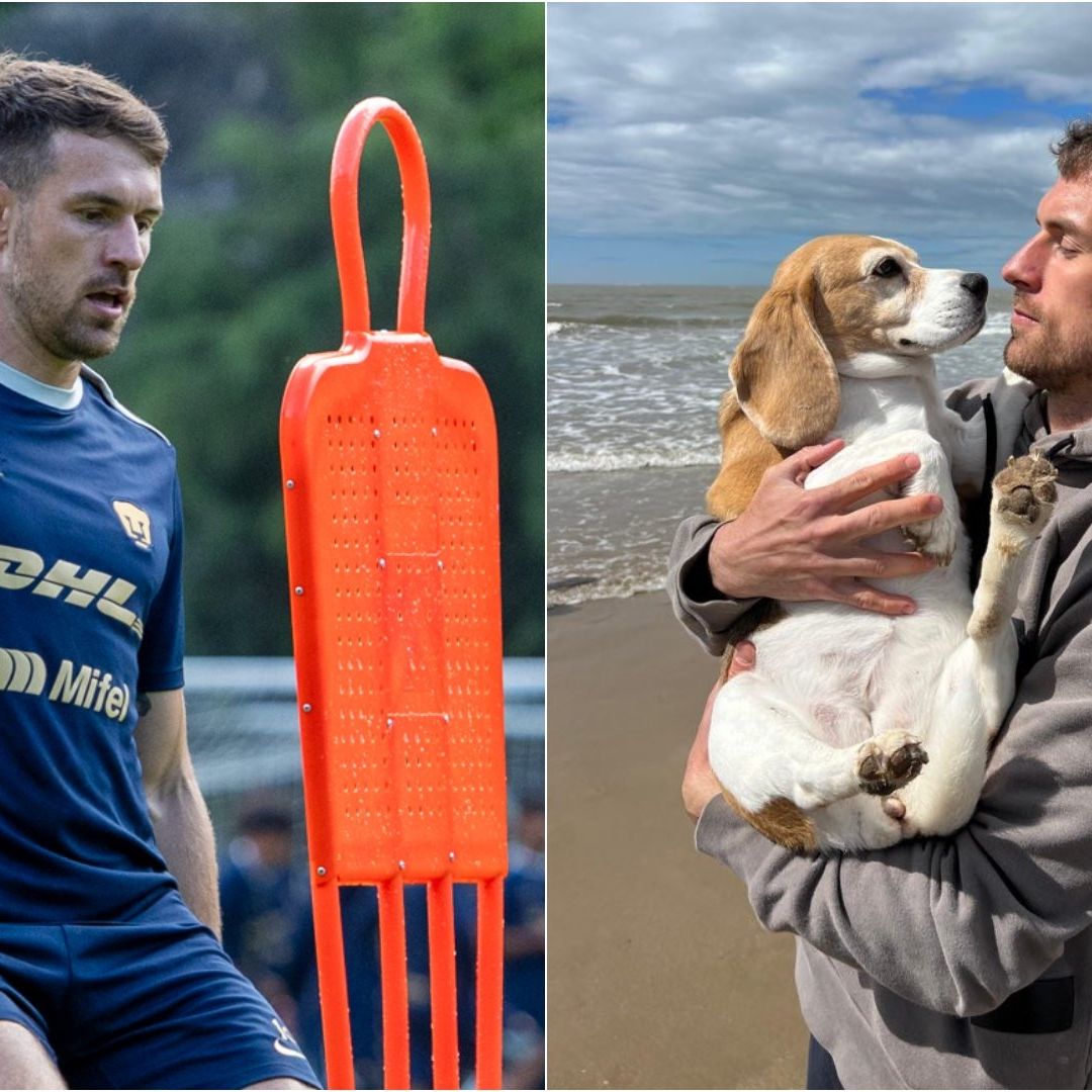 Aaron Ramsey lamentó que su perrita Halo desapareciera sin dejar rastro y hasta ofreció una jugosa recompensa, pero no obtuvo resultados favorables.
