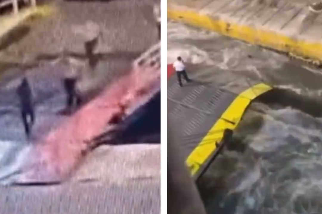 Video| Muere Hombre Tras ser Aventado de Barco al Mar en Grecia