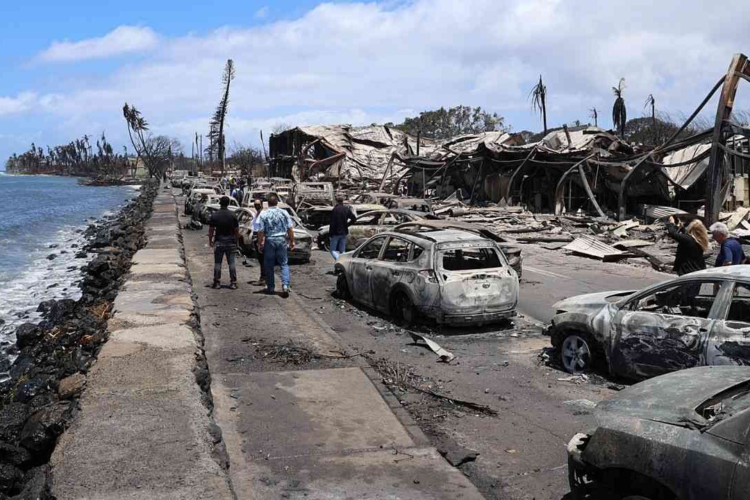Equipos de rescate, con perros, buscan a desaparecidos en Hawáil tras incendios