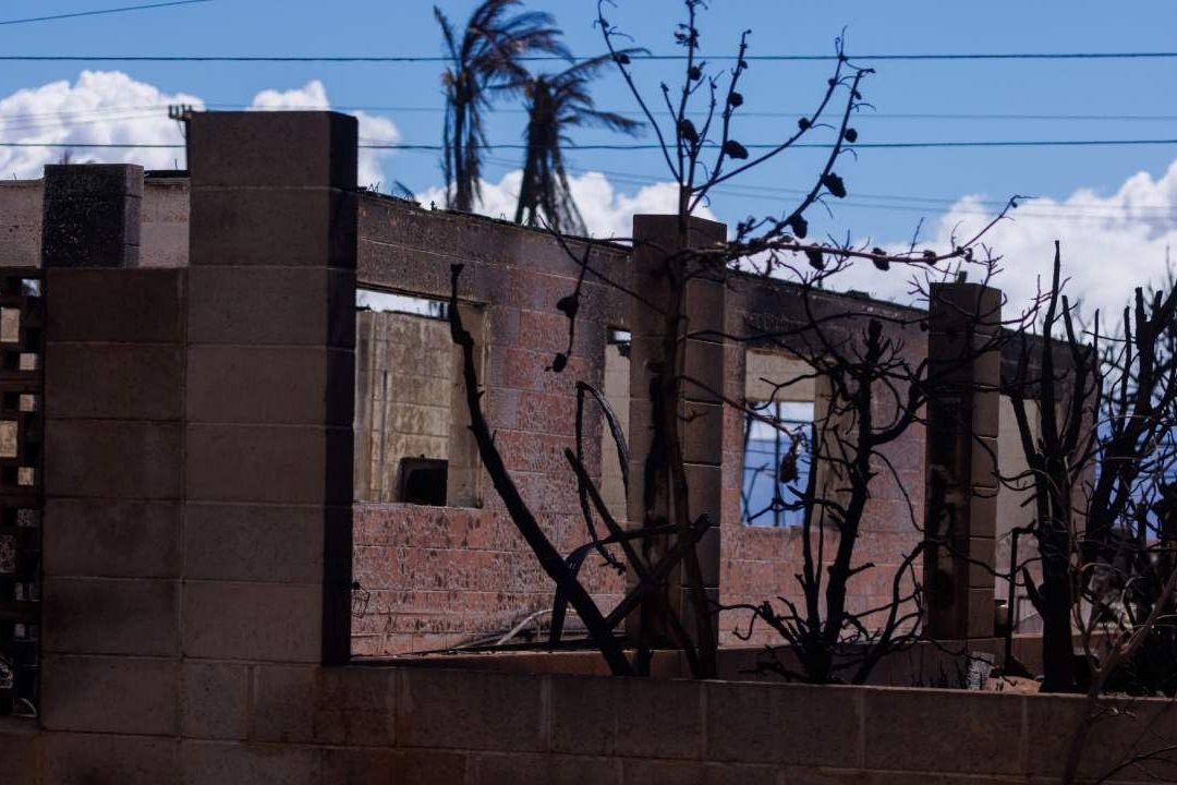 SRE Confirma la Muerte de 2 Mexicanos en Incendios en Maui, Hawái